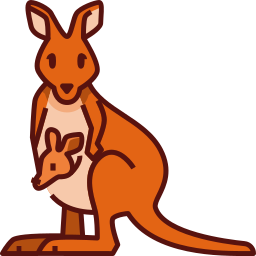 kangaroo